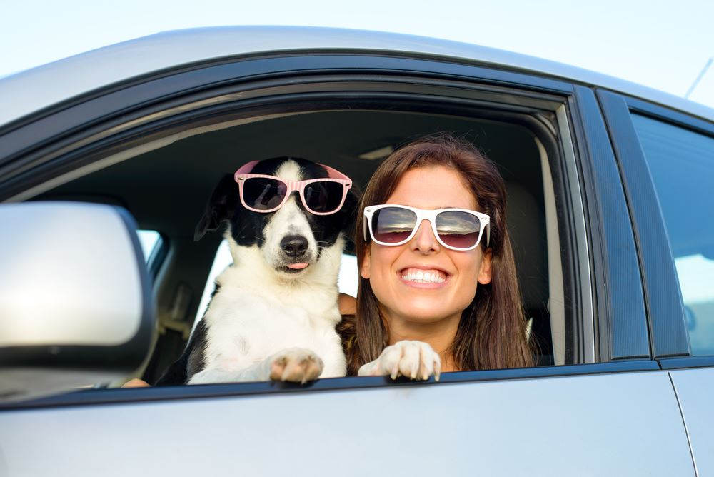 Dog and woman, both wearing sunglasses, looking out driver's side window.