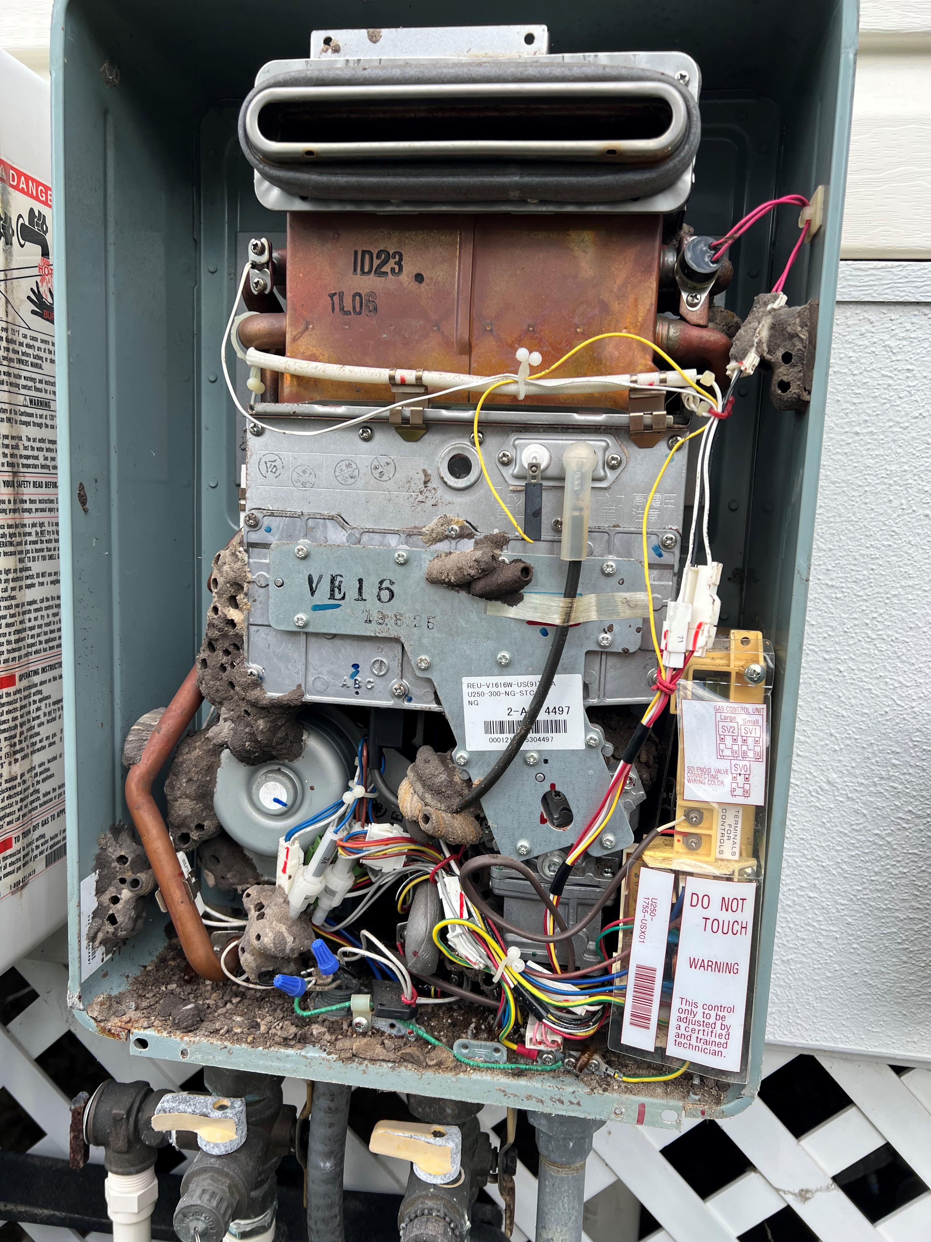tankless water heater with mud hornet nests all over it